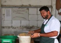 vagas de emprego em Araraquara