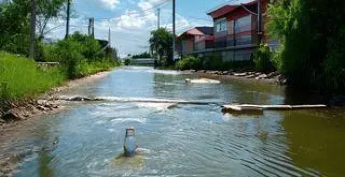 concurso DAAE Araraquara