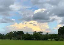 previsão do tempo Araraquara