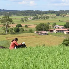 Ausência de Araraquara entre municípios que vão receber cursos de aprendizagem rural
