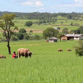 aprendizagem rural