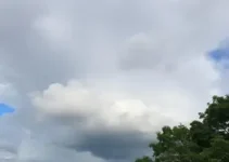 Araraquara