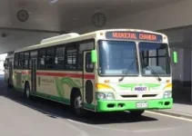 frota de ônibus