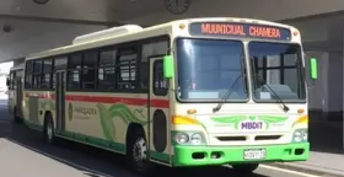 frota de ônibus