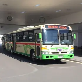 frota de ônibus