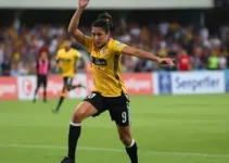 Sesi Araraquara