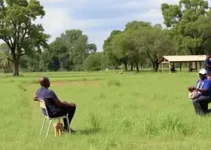 falta de UPA