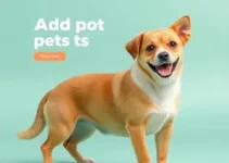 adoção de animais